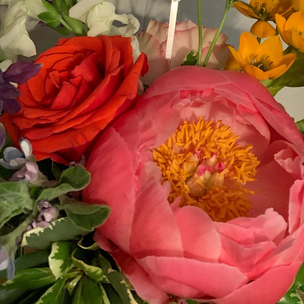 Meet your Posher, Forward